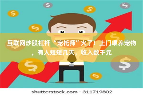 互联网炒股杠杆 “宠托师”火了！上门喂养宠物，有人短短几天，收入数千元
