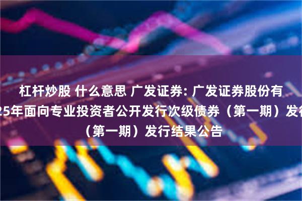杠杆炒股 什么意思 广发证券: 广发证券股份有限公司2025年面向专业投资者公开发行次级债券(第一期)发行结果公告