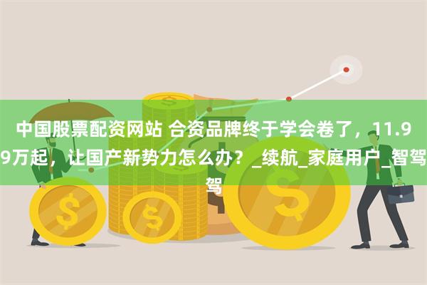中国股票配资网站 合资品牌终于学会卷了，11.99万起，让国产新势力怎么办？_续航_家庭用户_智驾