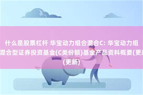 什么是股票杠杆 华宝动力组合混合C: 华宝动力组合混合型证券投资基金(C类份额)基金产品资料概要(更新)