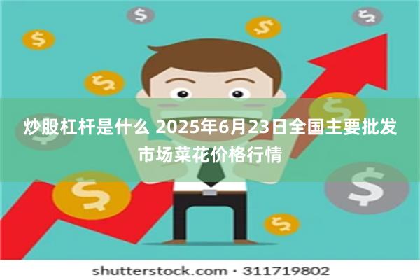炒股杠杆是什么 2025年6月23日全国主要批发市场菜花价格行情