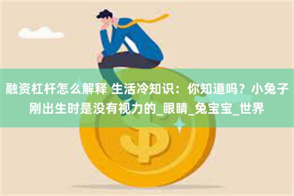 融资杠杆怎么解释 生活冷知识：你知道吗？小兔子刚出生时是没有视力的_眼睛_兔宝宝_世界