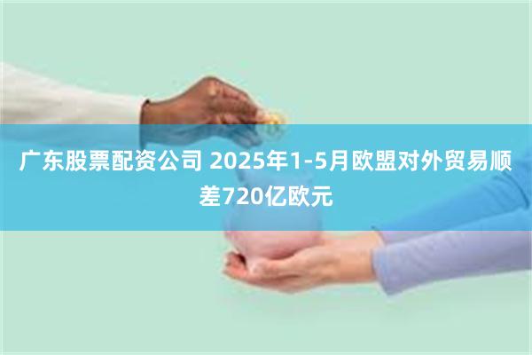 广东股票配资公司 2025年1-5月欧盟对外贸易顺差720亿欧元