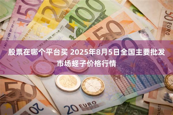 股票在哪个平台买 2025年8月5日全国主要批发市场蛏子价格行情