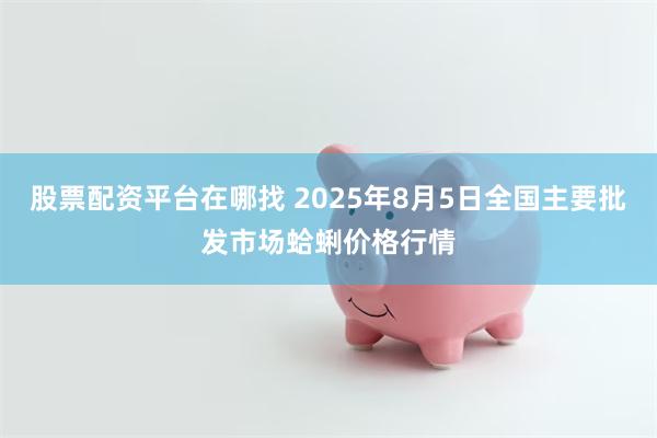 股票配资平台在哪找 2025年8月5日全国主要批发市场蛤蜊价格行情