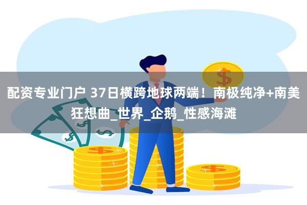 配资专业门户 37日横跨地球两端！南极纯净+南美狂想曲_世界_企鹅_性感海滩
