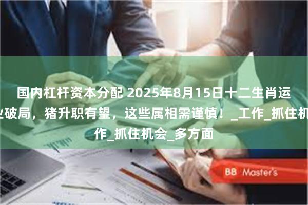 国内杠杆资本分配 2025年8月15日十二生肖运势：狗事业破局，猪升职有望，这些属相需谨慎！_工作_抓住机会_多方面